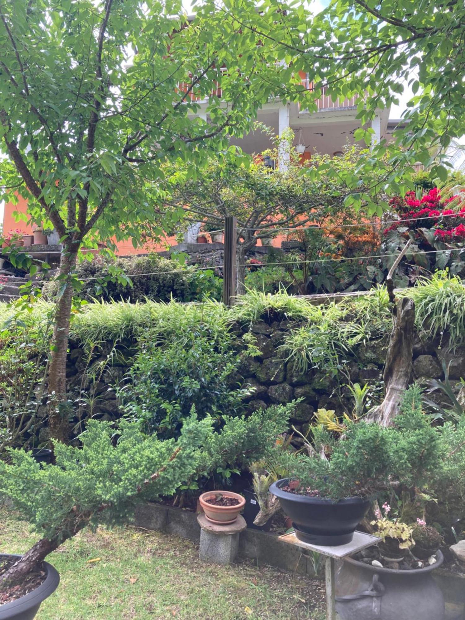 Villa Les Begonias Cilaos Esterno foto