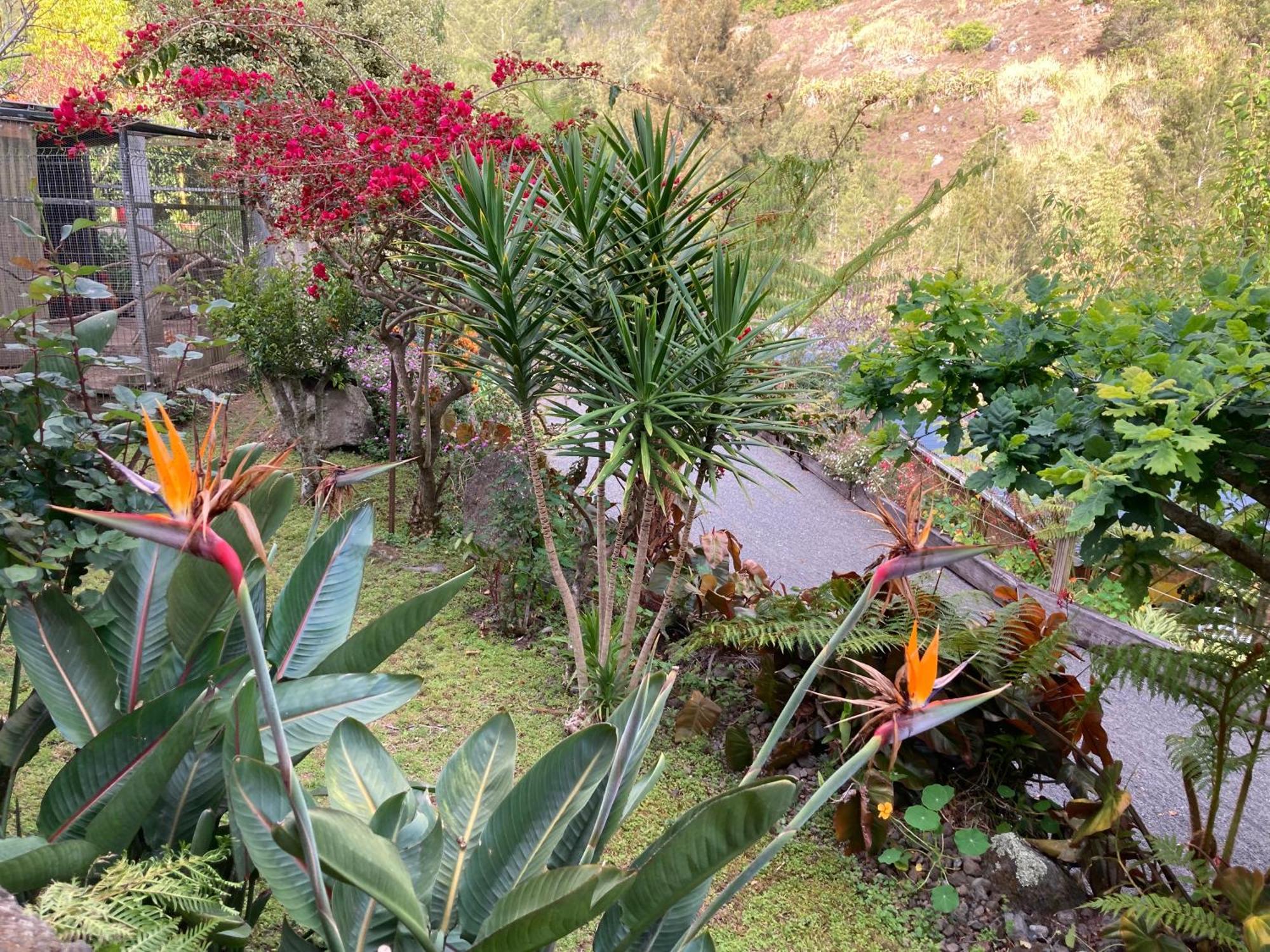 Villa Les Begonias Cilaos Esterno foto