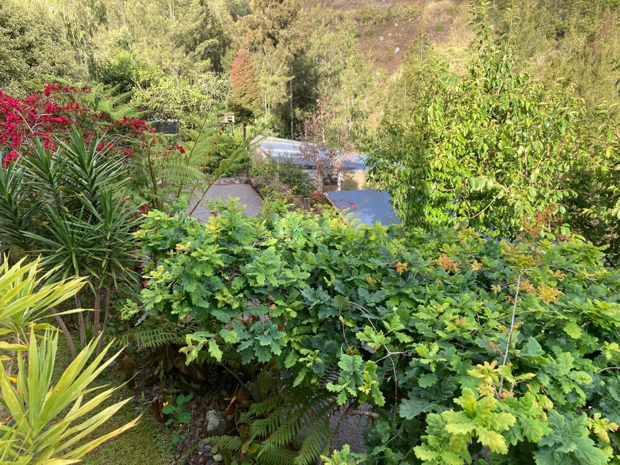 Villa Les Begonias Cilaos Esterno foto