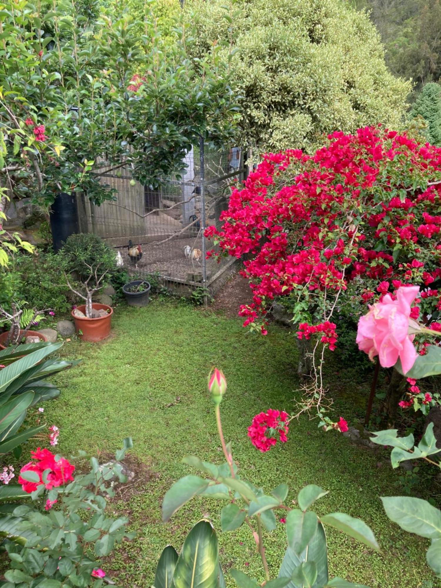 Villa Les Begonias Cilaos Esterno foto